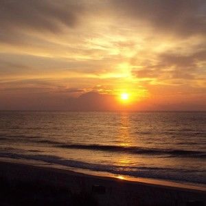 Meet your Posher, Terri